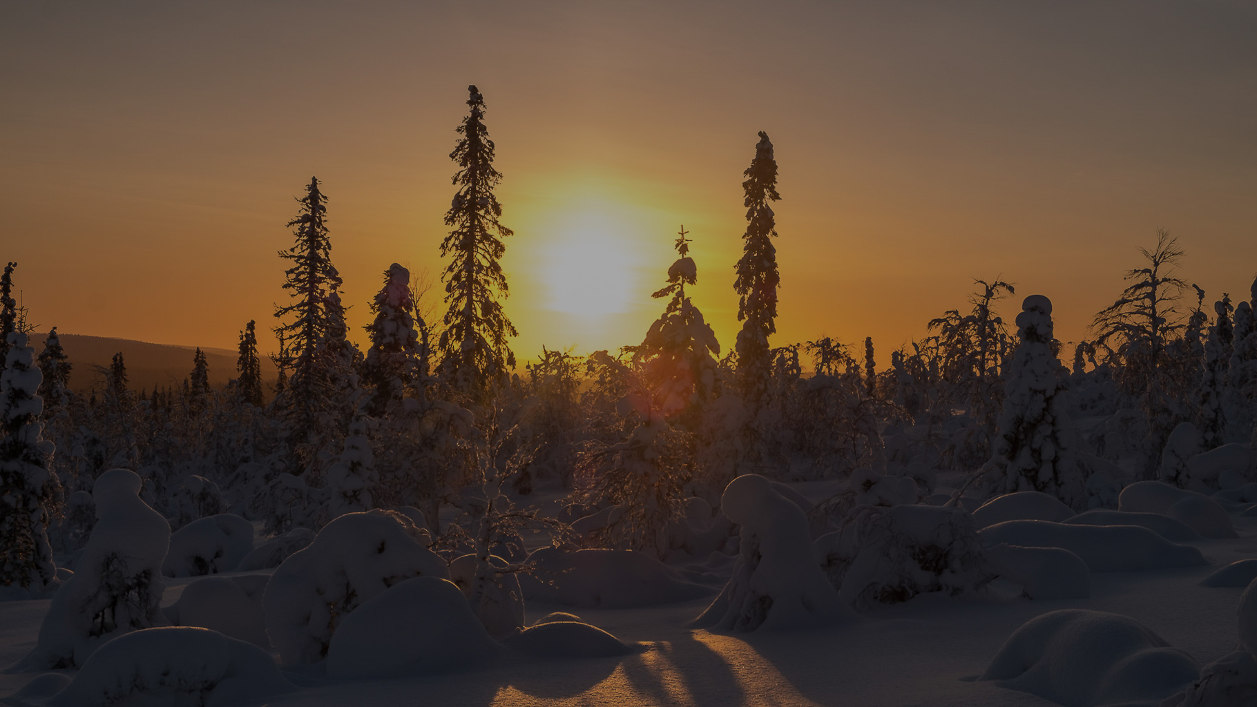 Winterlandschaft mit tief verschneiten Bäumen im goldenen Licht der untergehenden Sonne; lange Schatten fallen über den glitzernden Schnee, im Hintergrund sanfte Hügel unter orangefarbenem Himmel.