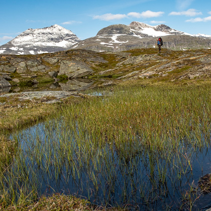 Wanderer mit rotem Rucksack steht auf felsigem Hügel über kleinem See mit Schilf im Fjell nördlich des Polarkreises, im Hintergrund schneebedeckte Berge unter blauem Himmel.