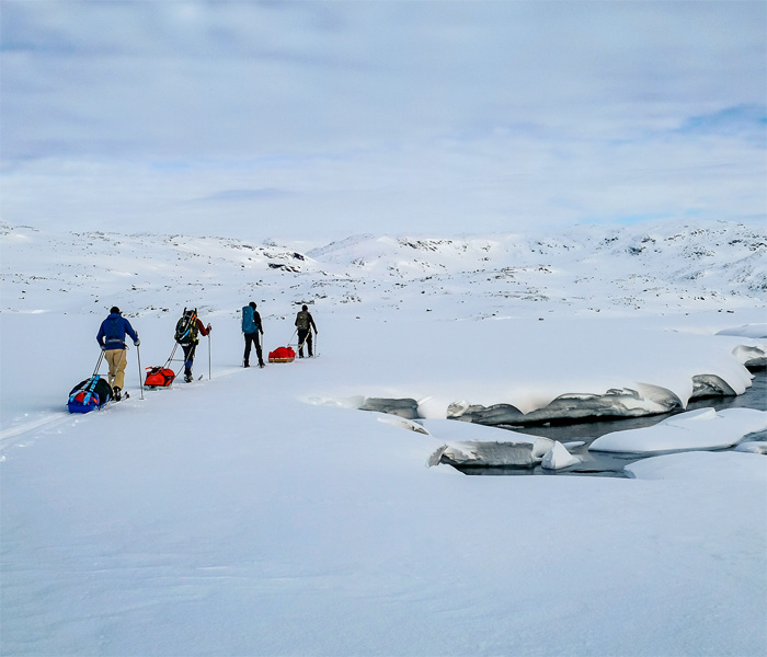 Vier Skitrekkende ziehen mit Pulka-Schlitten über weite, verschneite Hochebene im Narvikfjell, im Vordergrund vereiste Felsen, im Hintergrund sanfte Hügel unter leicht bewölktem Himmel.