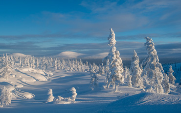 Verschneite Landschaft mit bizarr geformten Schneebäumen und sanften Hügeln unter tiefblauem Himmel, aufgenommen im Fjell bei Lenggries während eines sonnigen Wintertages.