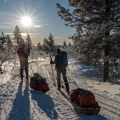 Zwei Skitrekking-Teilnehmer ziehen Pulka-Schlitten durch verschneiten Wald im Sonnenlicht, lange Schatten auf der Spur, klare Winterluft in Skandinavien.