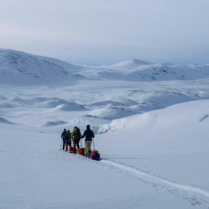Gruppe von Skitrekkern zieht mit Pulka-Schlitten durch weite, verschneite Hochebene im Narvikfjell, im Hintergrund sanfte Hügel und blasser Winterhimmel über dem Kebnekaise-Gebirge.
