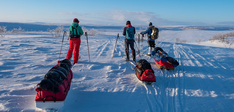 Vier Skitrekkende ziehen mit Pulka-Schlitten über weite, verschneite Hochebene im Fjell bei Lenggries, im Hintergrund sanfte Hügel und blauer Himmel mit leichter Bewölkung