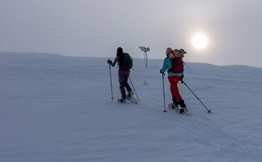 Weite verschneite Landschaft in Lappland mit einzelnen Kiefern unter grauem Himmel, im Hintergrund orangefarbener Streifen der untergehenden Sonne über sanften Hügeln.